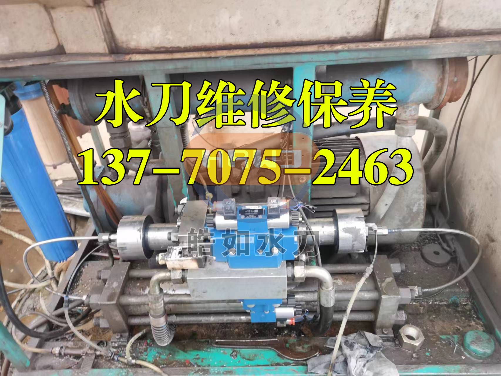 微信圖片_20240924084431.jpg 微信圖片_20240924084431.jpg